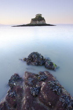 llbwwb:  Rat Rock (by Dustin Penman)