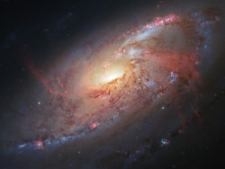 rhubarbes:  Hubble view of M 106 by europeanspaceagency.  More Skyscape here.