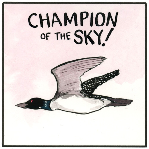 The Mighty Loon!