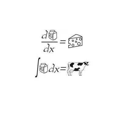 lthmath:  Understanding the difference: integration vs differentiation and cow vs cheese ;)