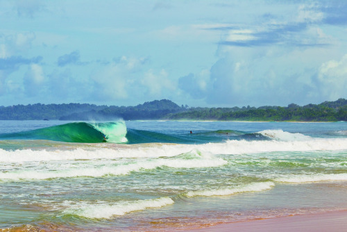 Indonesian Straddie.