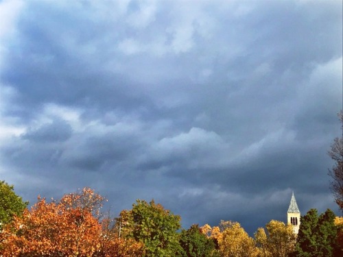 Halloween vibes on campus