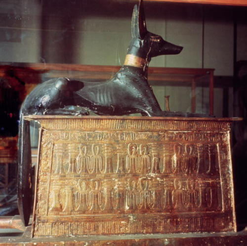 grandegyptianmuseum: Anubis seated atop a chest Anubis, Egyptian god associated with mummification a