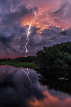 illest:  Myakka Sunset by Justin Battles 