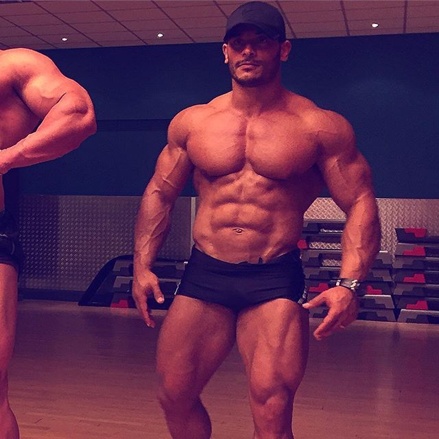 Hani Anwar