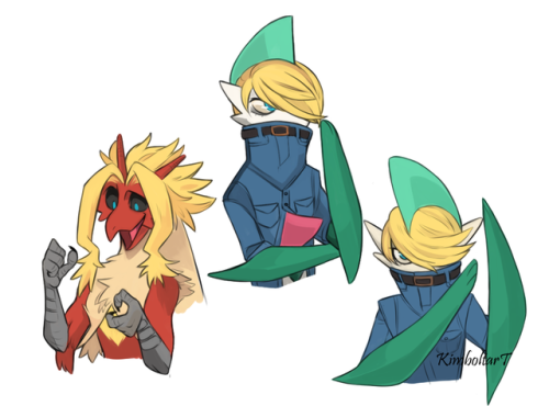 kimboltart: Poke no Hero AcademiaHere some Pro Hero Pokemon's (ﾉ◕ヮ◕)ﾉ*:･ﾟ✧Hawks/Pidgeot, Mirko/