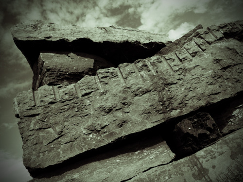 Lee Quarry Lomography Stills, Sculptures and 19th century quarrying remains, 27.7.15.