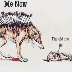 gymratmat:  Change is necessary, people will bring you down, stab you in the back, break your heart, want to see you fail… Get back up and do what your meant to do, people come and go.