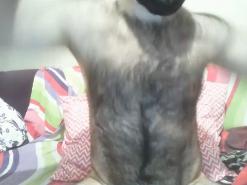 tumblr photo littleotter4hairyman 5