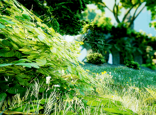 mistress-light:  DRAGON AGE INQUISITION  GIFS [15/?]