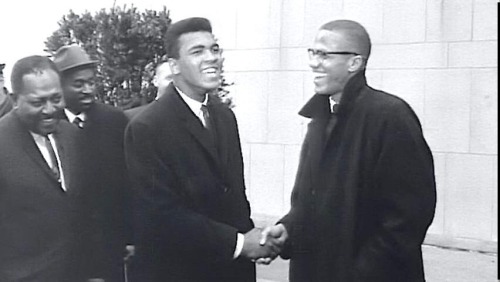 malcolmx