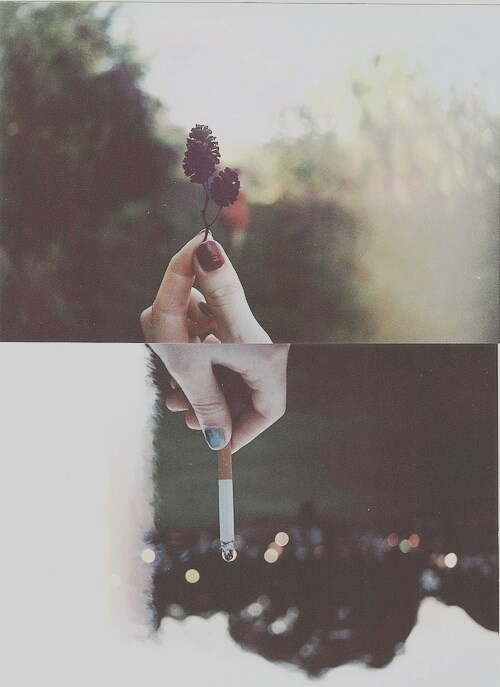 samiye-posts.tumblr.com/post/103888702676/