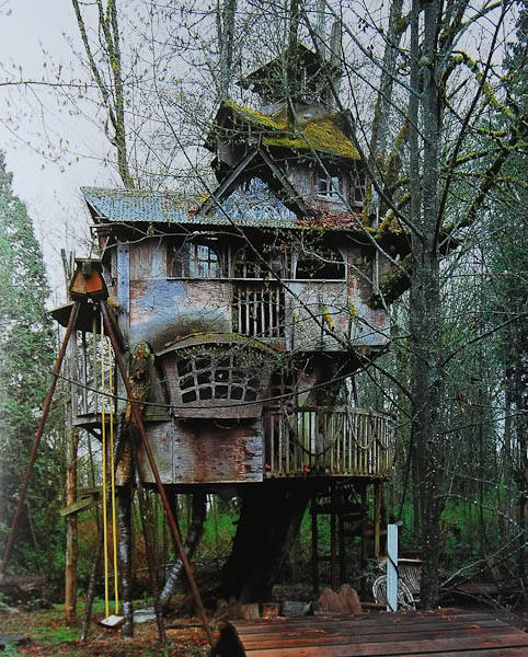 sixpenceee:  Redmond Treehouse This plywood palace built around a broad-leafed maple