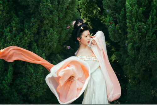 太平公主造型|tang dynasty princess style inspired by history drama Daminggong Ci大明宫词| photo by Niki_镜子