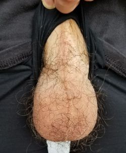 dudeswithpubes:  My wild hairy sack 