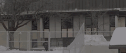 arsenic-bloom:  Dale x 4bi9 Collab Edit