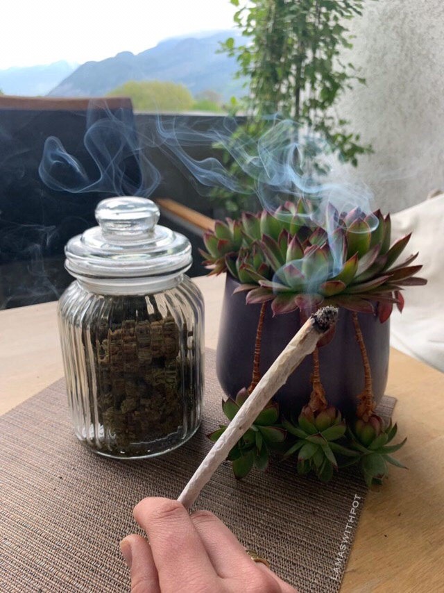 lamaswithpot:  