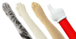 suppermariobroth:  The paws and Mario hand cursors from Super Mario Maker. The cat paws belong to producer Takashi Tezuka’s cats and the dog paw to senior director  Yoshikazu Yamashita’s dog. 