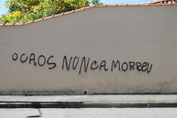 poesia carbonizada