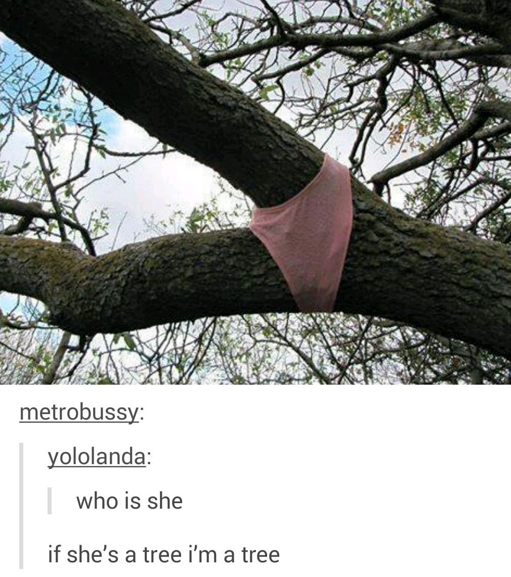 advice-animal:who is sheadvice-animal.tumblr.com