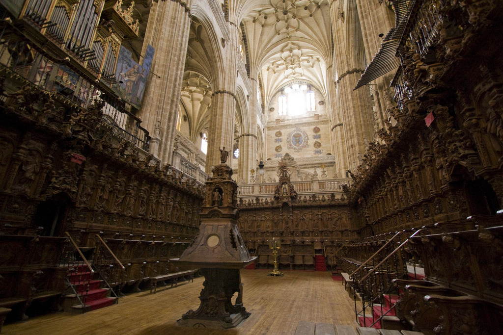 by-grace-of-god:  Salamanca Cathedral, Spain I love that Lawrence OP describes each