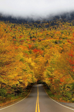  imprintx:  Vermont, United States   