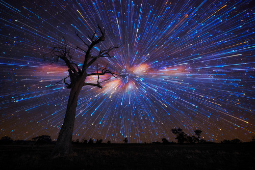 XXX escapekit:  Stars Bursting In The Night Sky photo