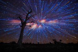 oecologia:  Interesting Star Trails. (by: Lincoln Harrison) 