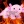 smolbakedpopato:  peirette: Let trans men be as feminine or as masculine as they