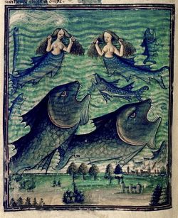 medievalengravings:  Mermaids, sirens, monster fish, ca.1450–70. France 