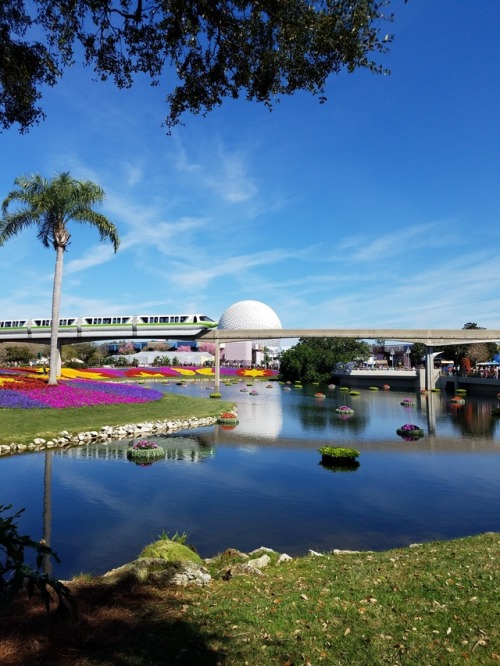 itsawaltdisneylife:Such beautiful colors today at the Epcot International Flower &amp; Garden Fe