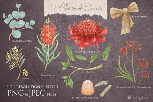 Australian Birds & Flowers by JenDigitalArt★ download • FREE GRAPHICS OF THE WEEK