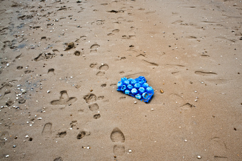 Beachcomber - weekly round up of my daily walks along the beach and findsGRD III | X100Blatant plug 