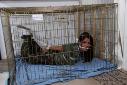 graybandanna:  Military prisoner hogtied