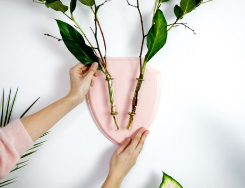 Sex sosuperawesome: Wall Vases by Eco Deer on pictures