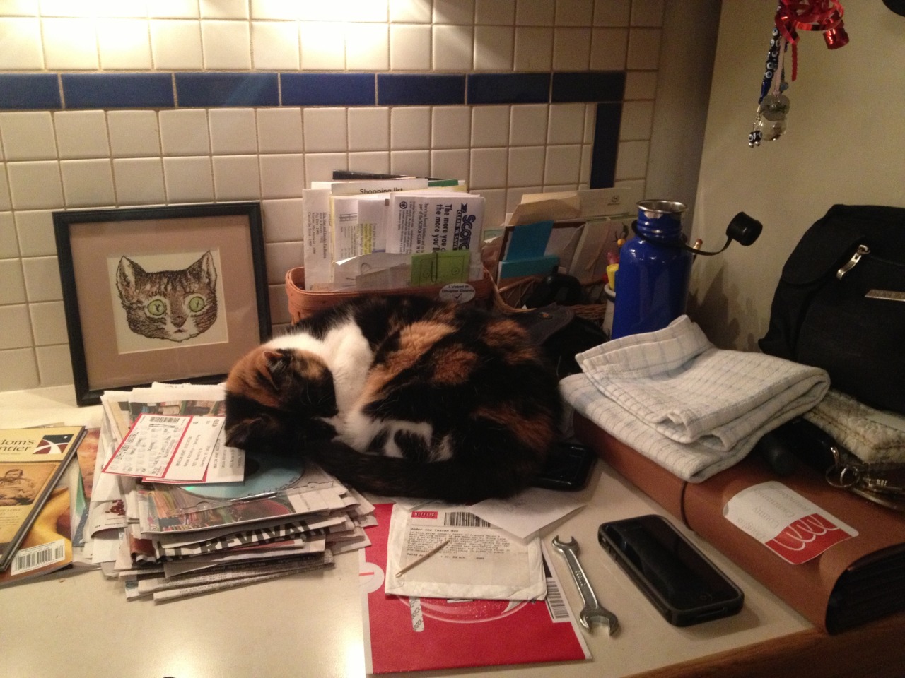 getoutoftherecat:    well, i can’t pay my bills if i can open them. thanks, cat.
