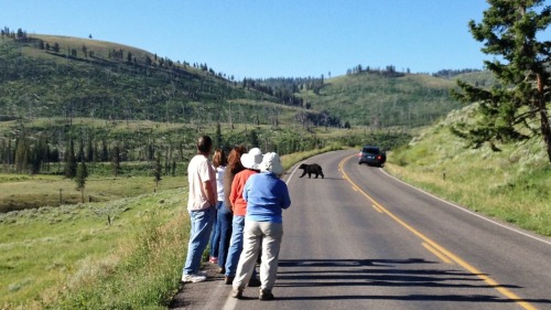 Missoula and Yellowstone- While I didn’t stay long in Missoula, I did get to visit with Nora, 