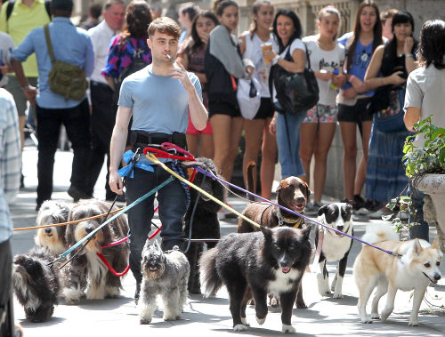singingonpavementsDaniel Radcliffe walking 12 dogs while smoking a cigarette