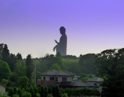  The 3rd tallest statue in the world, Ushiku Daibutsu. 