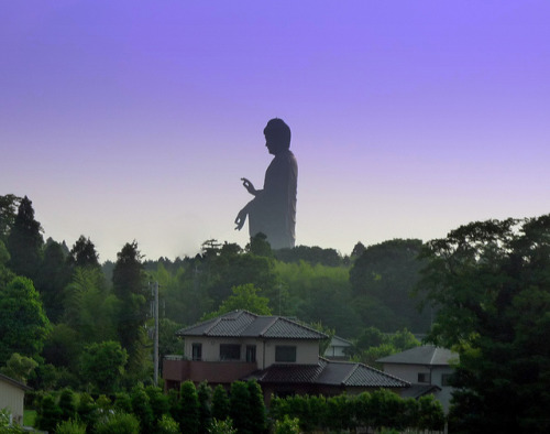 brokenfracture: rubyneptune: dzolamboto: oregonfairy: The tallest statue in the world, Ushiku Daibut