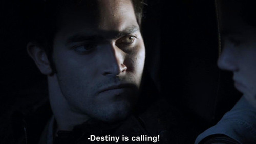 sterek