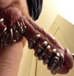 piercedandy:  Piercedandy’s penis again  I am totally captivated - WOOF