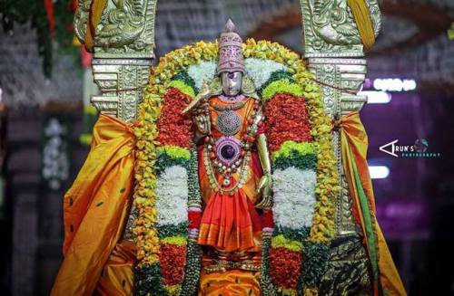 Meenakshi Sundareswara temple decoration during a festival