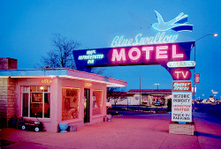 vintagegal:David Graham - Tucumcari, New