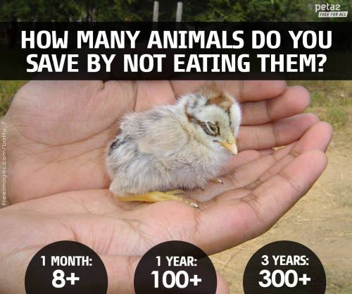 peta2: Many people are going veg for this very reason. &lt;3 ❤️
