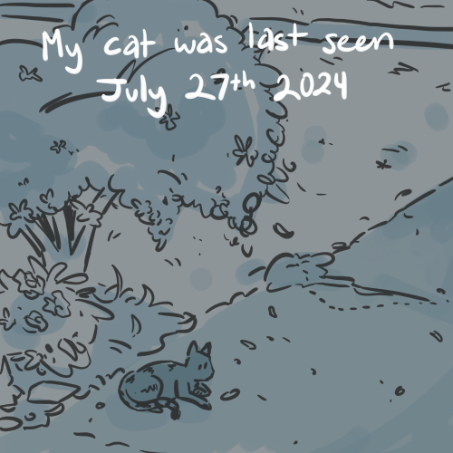 The Loss Of A Pet