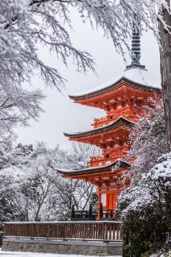 sublim-ature:  Kyoto, JapanTakahiro Bessho