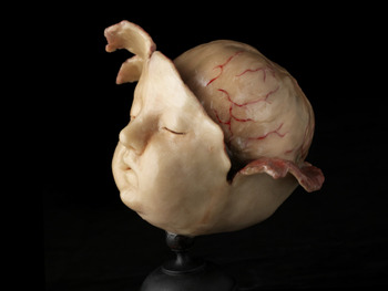 sixpenceee:  Anatomy work by Nathalie Latour. Check out this post about the human anatomy with a twist.  