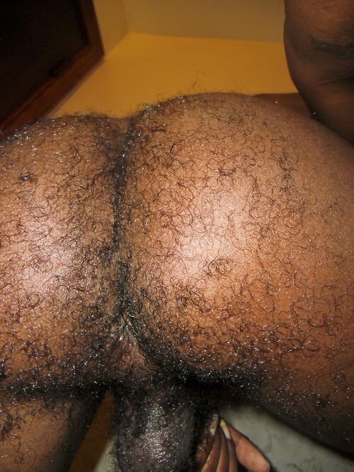 theholewhisperer:  