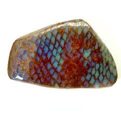 Fossilized snake skin in Boulder Opal //